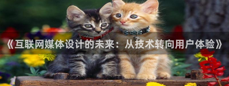 天狮娱乐待遇