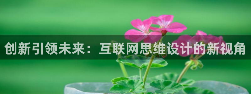 天狮娱乐b 判官