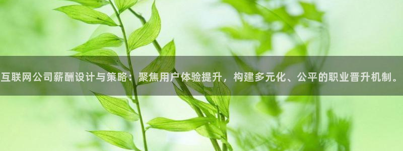 天狮娱乐 运营88383x