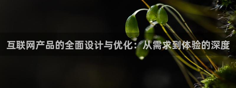 天狮娱乐 amp u招商35980