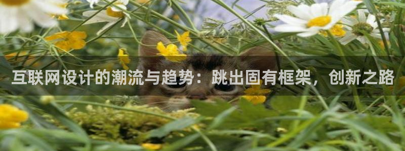 天狮娱乐招商扣