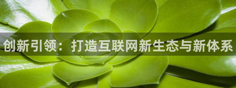 天狮娱乐下载app
