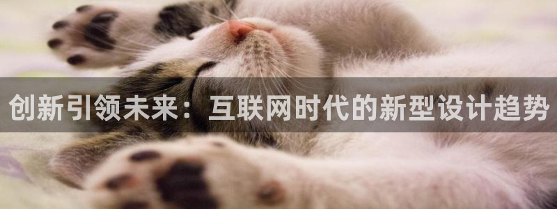 天狮娱乐950594：创新引领