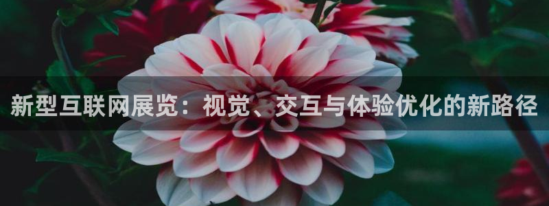 天狮娱乐 q823825515