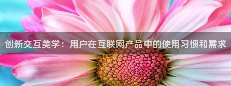 天狮娱乐(主管 )：创新交互美