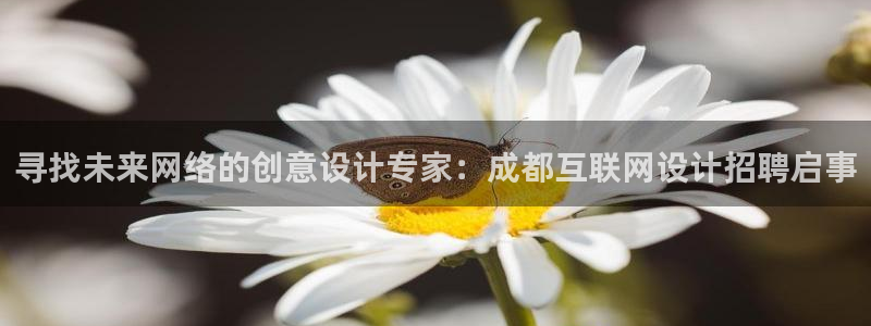 天狮娱乐注册：寻找未来网络的创