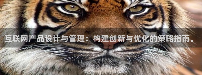 天狮娱乐资金安全吗：互联网产品