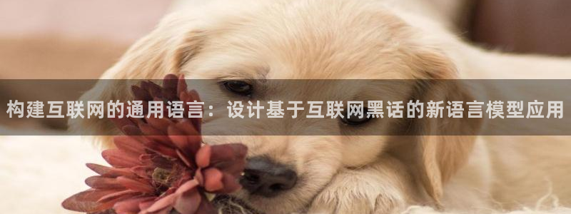 天狮娱乐84374 巅峰h