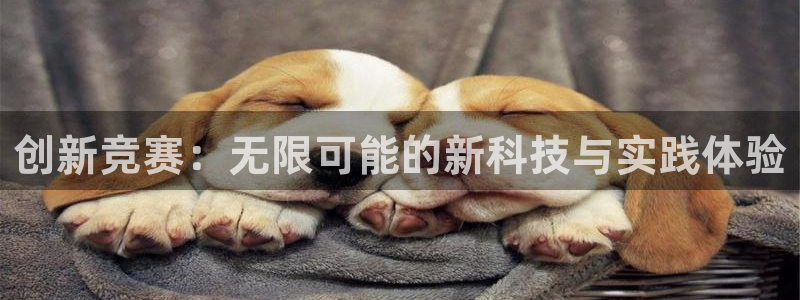 天狮娱乐平台