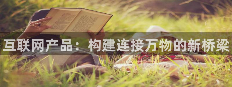 天狮yl娱乐：互联网产品：构建