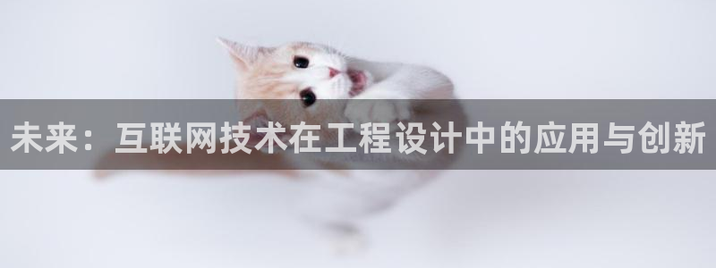 天狮娱乐负责人是