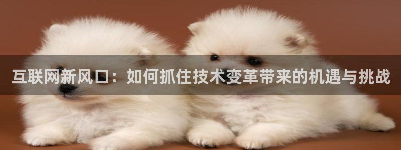 天狮娱乐主管29229