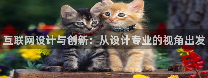 天狮娱乐彩票怎么玩
