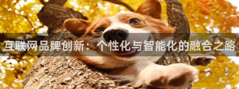 天狮娱乐招商29229：互联网