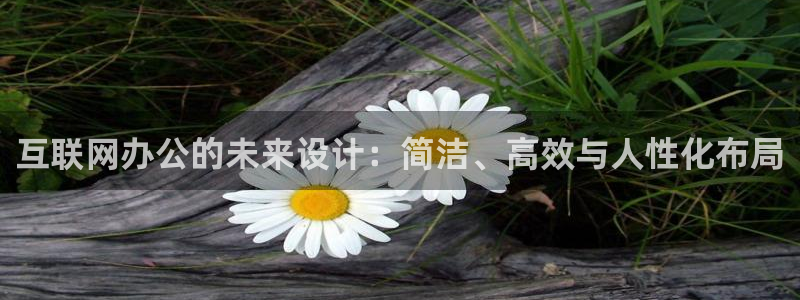 石家庄天狮娱乐会所：互联网办公