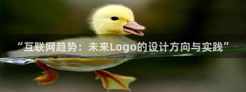 天狮娱乐怎么代理
