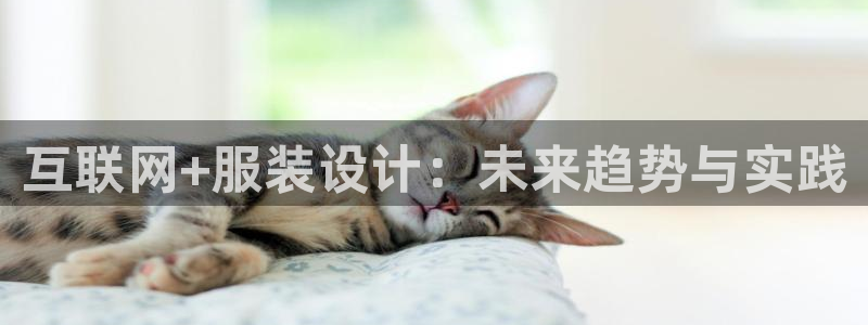 天狮娱乐 m.hbzhedu.cn