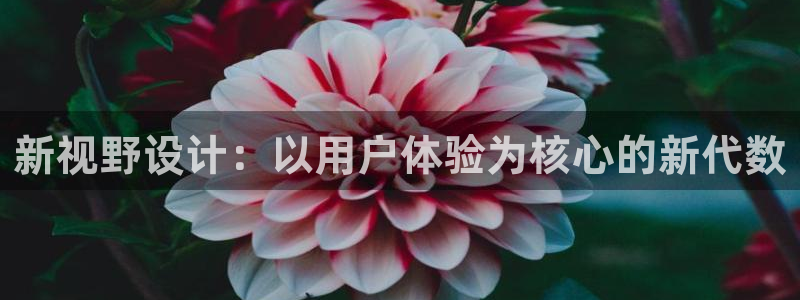 天狮娱乐b 判官