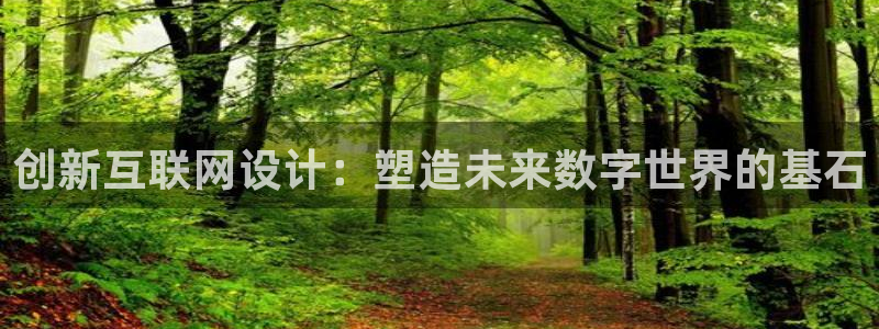 天狮娱乐工资：创新互联网设计：