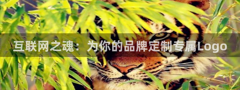 天狮娱乐代理找谁